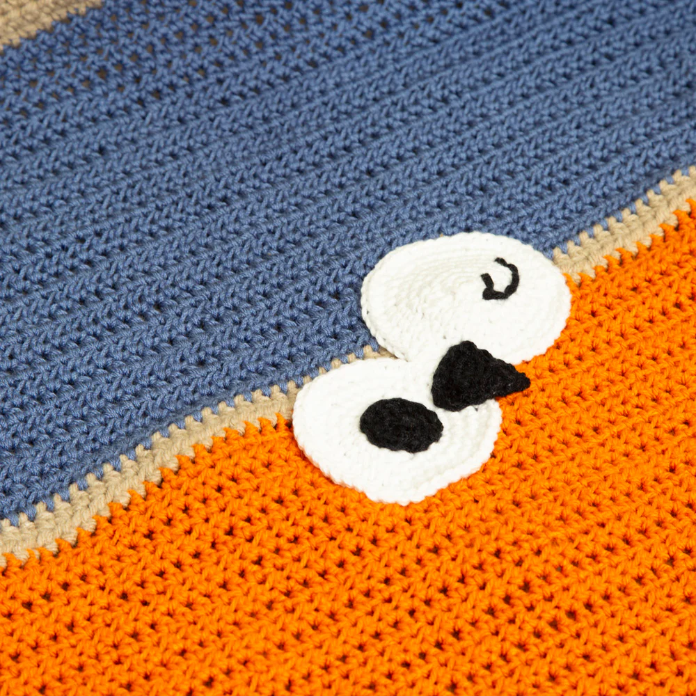 Aguascalientes Crochet Baby Blanket - Image 7