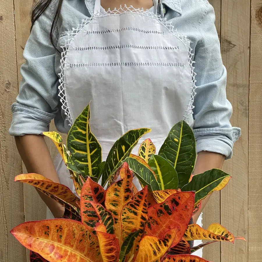 Deshilado Cotton Apron - Image 11