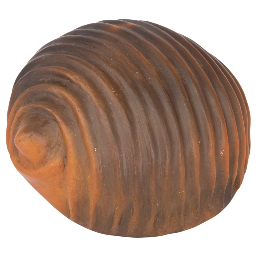 Santa Cruz Cachán Caracol Seashell Clay Sculpture - Image 7